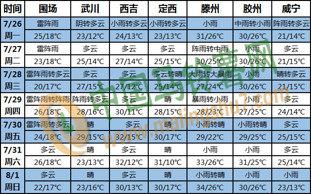 土豆天气