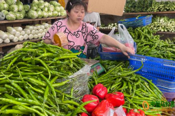 成都：蔬菜价格小幅上涨 ()