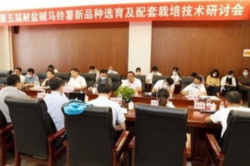 商都：举办第五届国际耐盐碱马铃薯育种及栽培技术研讨会 ()