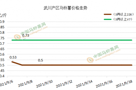 新薯供应宽松 行情影响几何？ ()