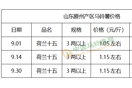 市场需求或增 薯价看涨？ ()