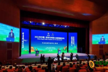 定西：举行2021年中国·定西马铃薯大会暨高峰论坛 ()