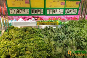 沧州：蔬菜价格直逼肉价 ()