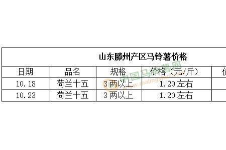 库薯购销顺畅 好货价格看涨 ()