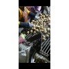 四川土豆种薯