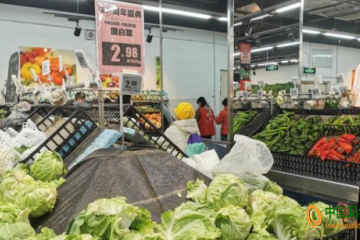 北京：叶菜价格降幅超三成 ()