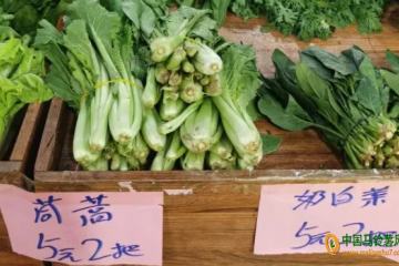 河北：蔬菜价格大幅回落 ()