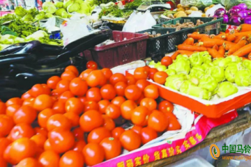 南充：蔬菜价格开始回落 ()