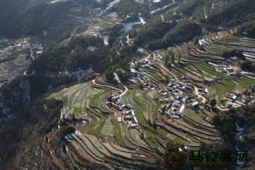 土豆种植助力云南小山村蜕变 ()