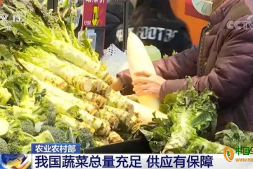 农业农村部：蔬菜价格将呈现季节性回落 ()
