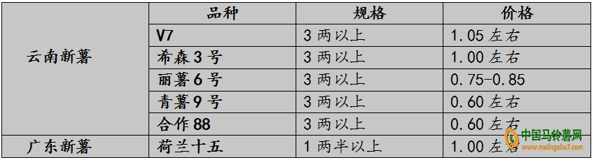 图片9