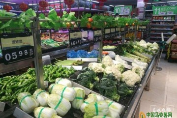 蔬菜价格涨幅明显 ()