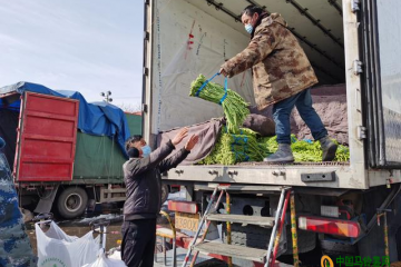 新发地：雪后部分蔬菜价格上涨 ()