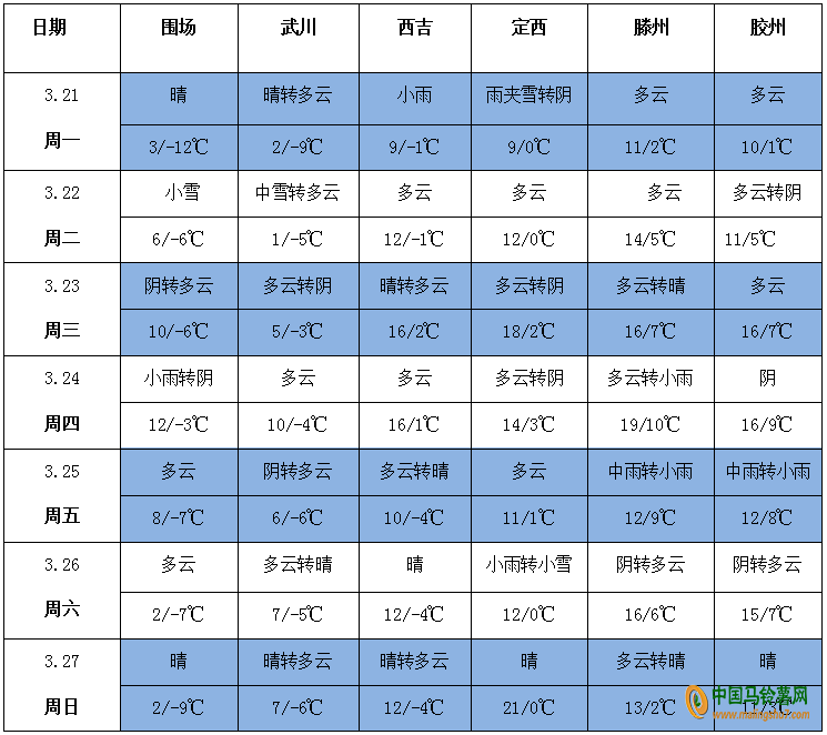 图片16