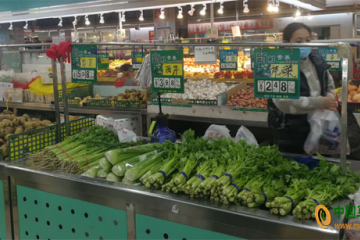 大庆：蔬菜价格持续回落 ()