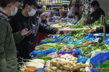 全国菜价较往年同期涨两成 ()