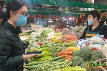 郑州：蔬菜价格小幅下降 ()