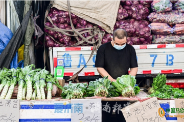 济南：蔬菜价格亲民 ()