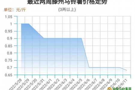 薯市行情企稳 反弹之机可期 ()