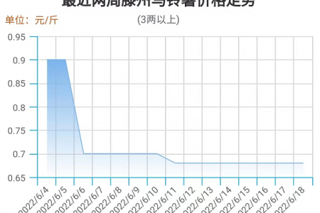 市场供需偏弱 薯价平稳整理 ()