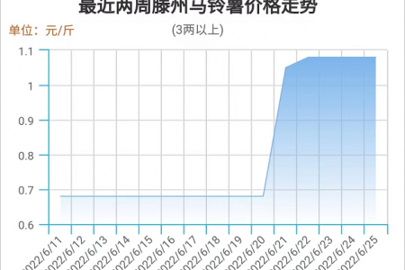 行情平稳推进 薯市交易向好 ()