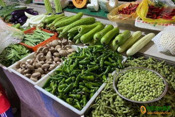 荆州：蔬菜价格普遍降低 ()