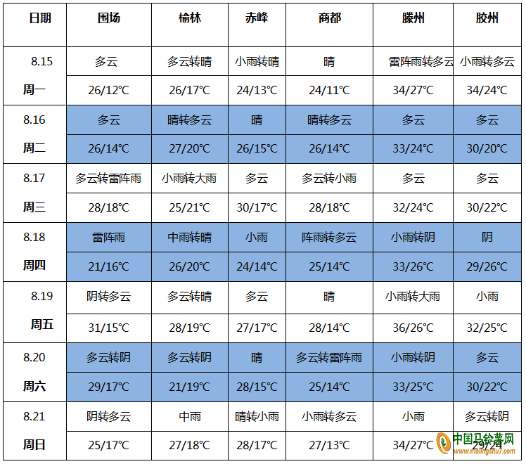 图片13