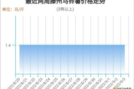 薯市行情为何跌跌不休？ ()