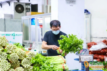 宁波：台风来了菜价稳定 ()