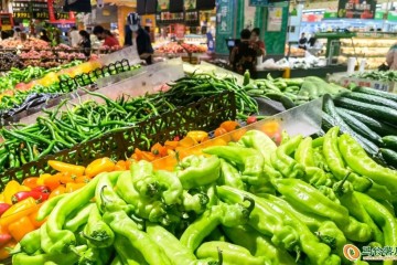 日照：蔬菜价格小幅回落