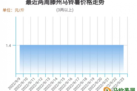 上涨支撑有力  薯价高位运行 ()