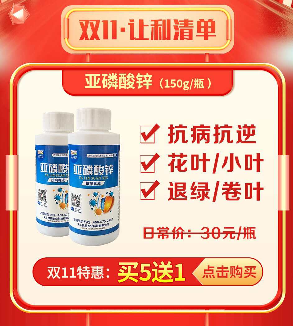 马铃薯2(3)_proc_02