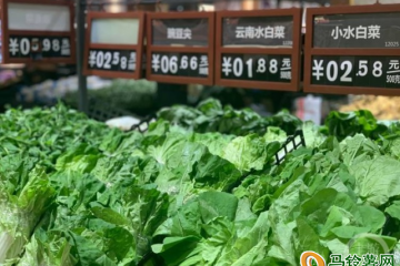 重庆： 蔬菜价格集体“跳水” ()