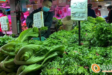 广州：本地蔬菜价格“亲民” ()