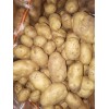 226土豆