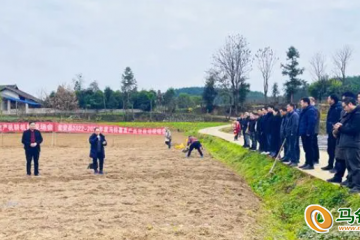 瓮安县：举行冬季马铃薯种植技术现场会 ()