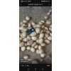 榆林高端V7出库中