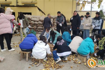 清镇市：开展马铃薯播种工作 ()