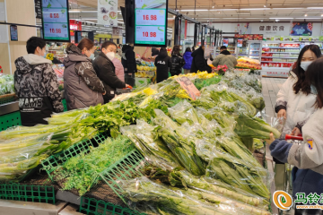 昌平区：蔬菜价格持续回落 ()