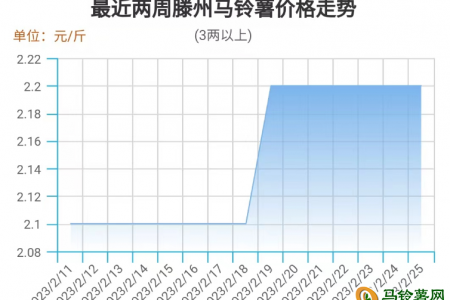 南北货源交替 薯市行情瘟弱 ()