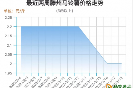 供应压力减弱 薯市将现转机 ()