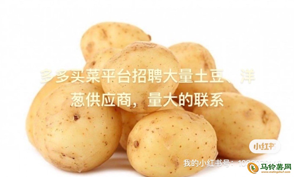 多多买菜招聘土豆、洋葱供应商、能持续供应的联系 ()