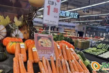 南宁：春季蔬菜价格下降 ()