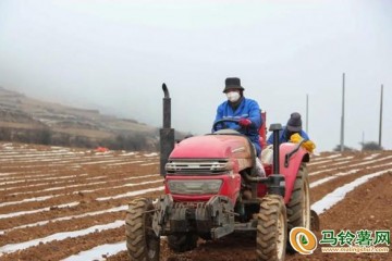 贵州威宁: 马铃薯产业带动农户增收 ()
