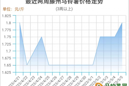 市场利好不断 薯价高位偏强 ()