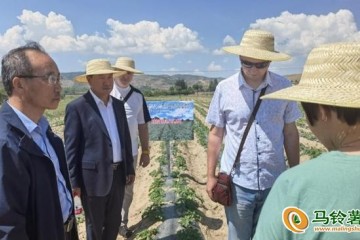 中俄专家共促马铃薯产业健康发展 ()