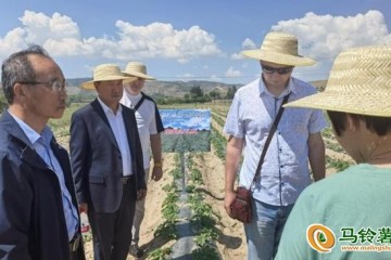 中俄专家共促马铃薯产业健康发展 ()