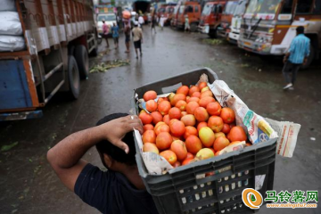 印度：7月蔬菜价格上涨近四成 ()