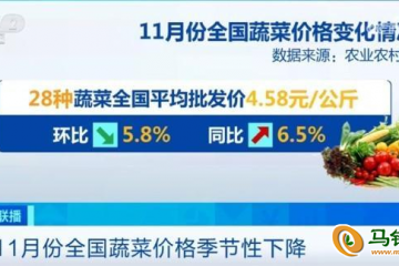 11月全国蔬菜价格季节性下降