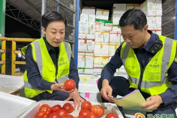 东莞海关：春节期间助力超4000吨新鲜蔬菜安全供港